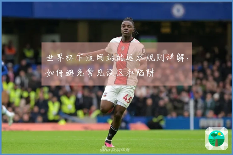 世界杯下注网站的返水规则详解，如何避免常见误区和陷阱