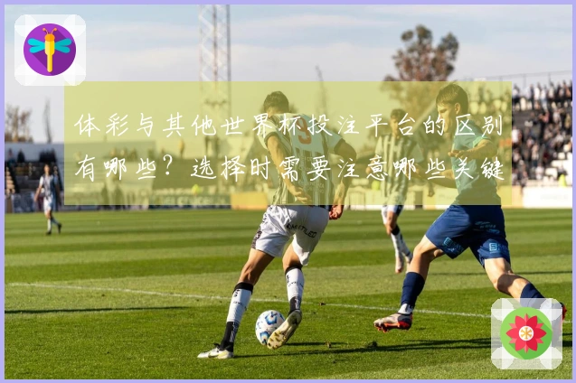 体彩与其他世界杯投注平台的区别有哪些？选择时需要注意哪些关键因素？
