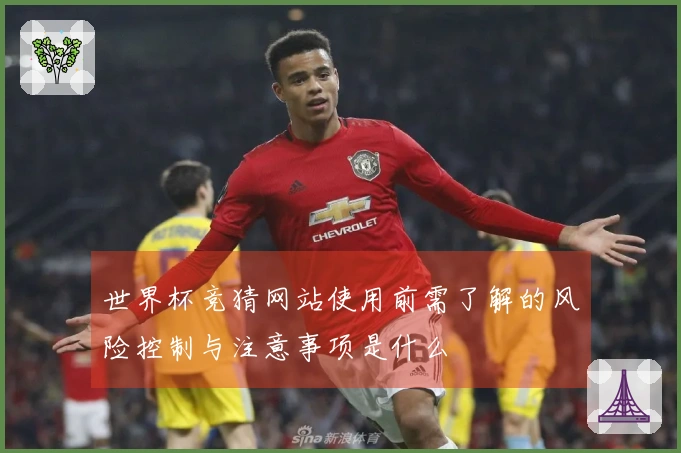 世界杯竞猜网站使用前需了解的风险控制与注意事项是什么